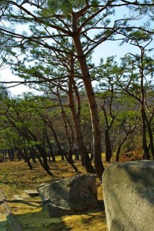 Incheon Grand Park