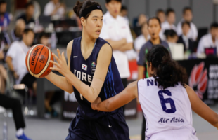 incheon-shinhan-bank-s-birds