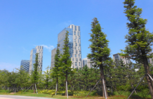 songdo-central-park